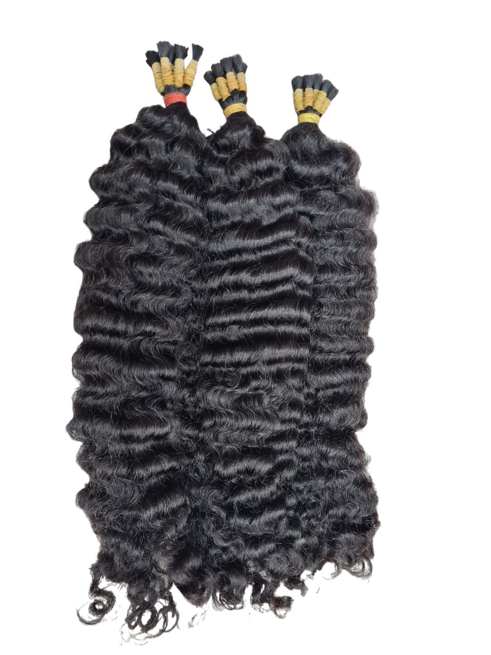 Burmese Curly (Bulk)